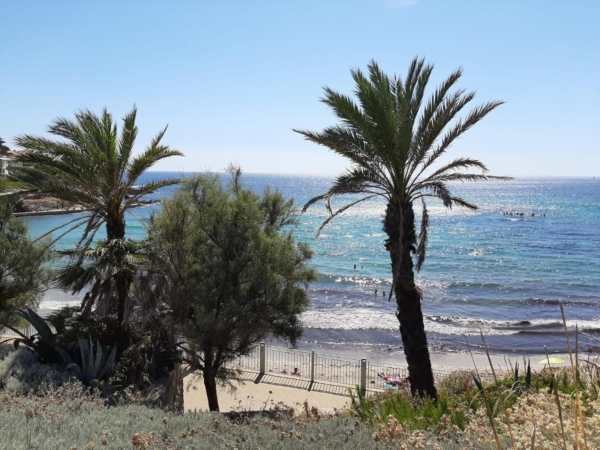 Apartment Sanary- La Vie Est Belle- Centre 2 Minutes A Pied- 5 Minutes *